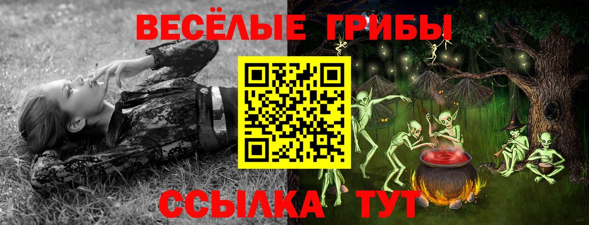 Псилоцибиновые грибы MAGIC MUSHROOMS Сунжа