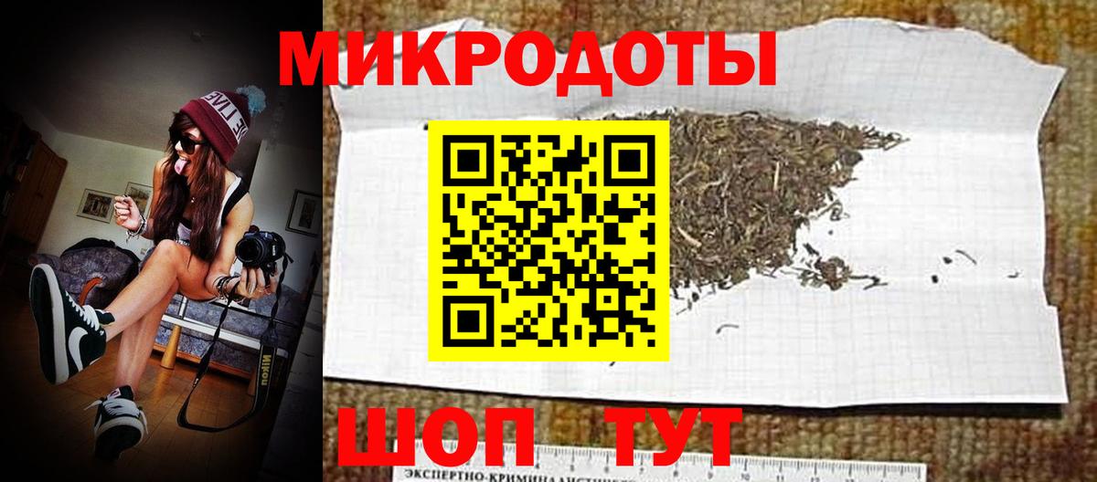 Галлюциногенные грибы GOLDEN TEACHER  магазин  наркотиков  Сунжа  Вход с VPN 
