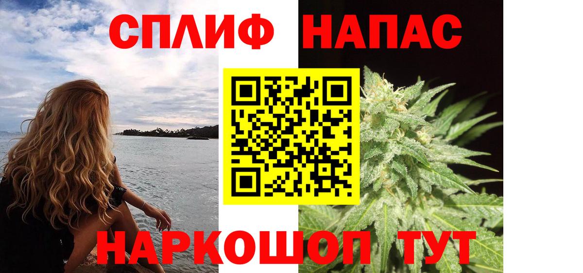 Каннабис SATIVA & INDICA Сунжа