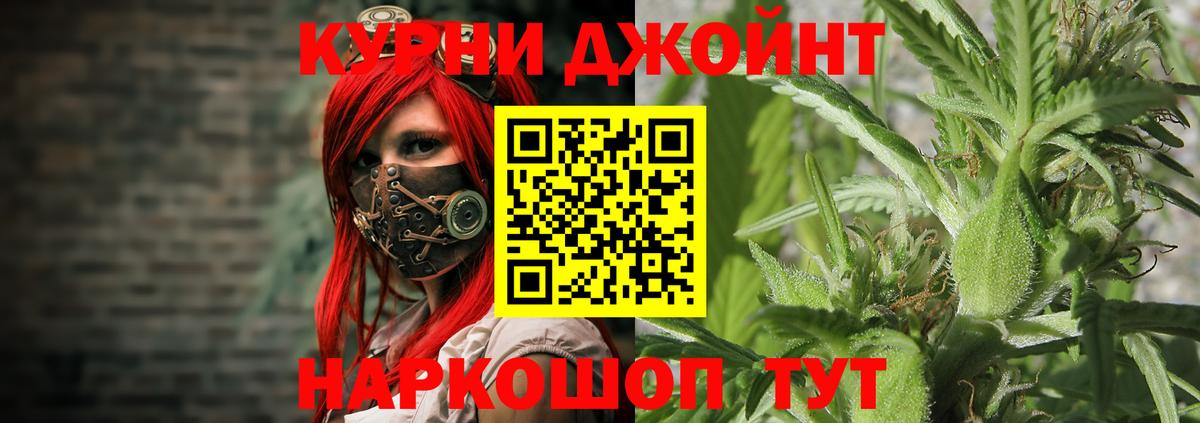 Сунжа  Каннабис планчик  Вход с VPN  Бошки Шишки Amnesia  Бошки Шишки сатива 